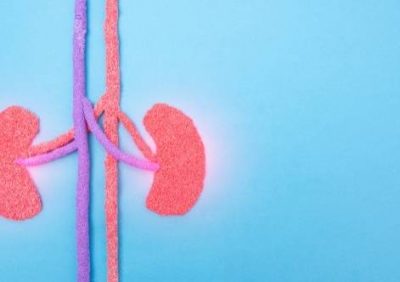 Graphic of kidneys on blue background