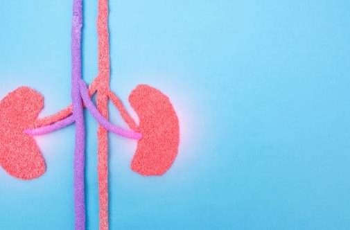 Graphic of kidneys on blue background