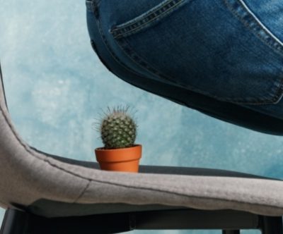 Woman sitting down on chair with cactus on seat