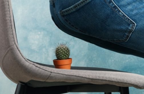 Woman sitting down on chair with cactus on seat